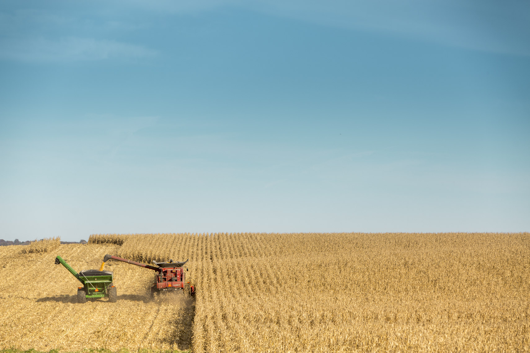 Farmers harvest corn during the fall in Iowa.