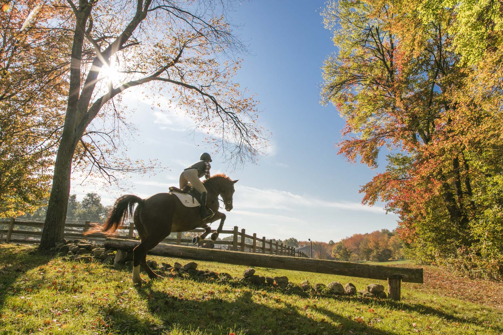 A member of a college equestrian team jumps her horse in a photo by Ryan Donnell
