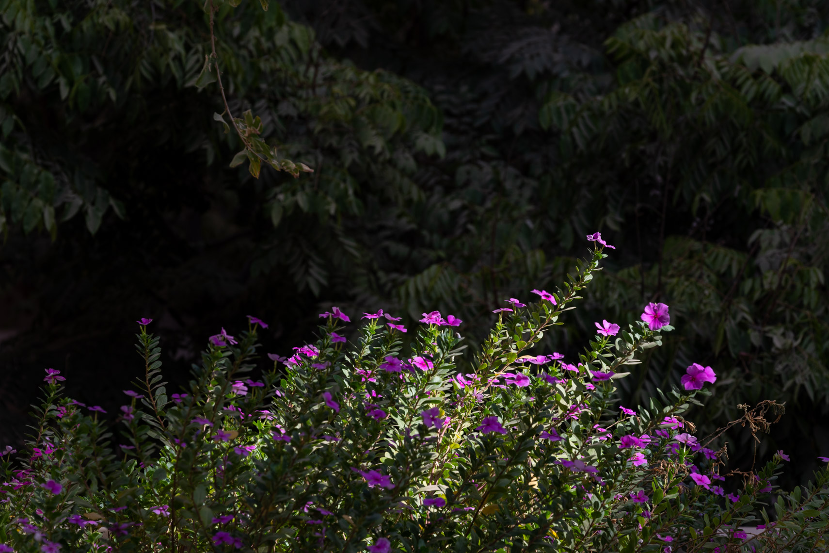 AUC_Education_220925_10596