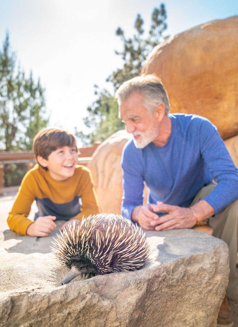 SanDiegoZooCampaign191106_0943-Edit